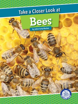 cover image of Take a Closer Look at Bees
